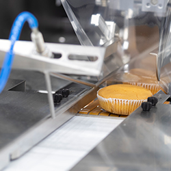 Lebensmittel & Getränke