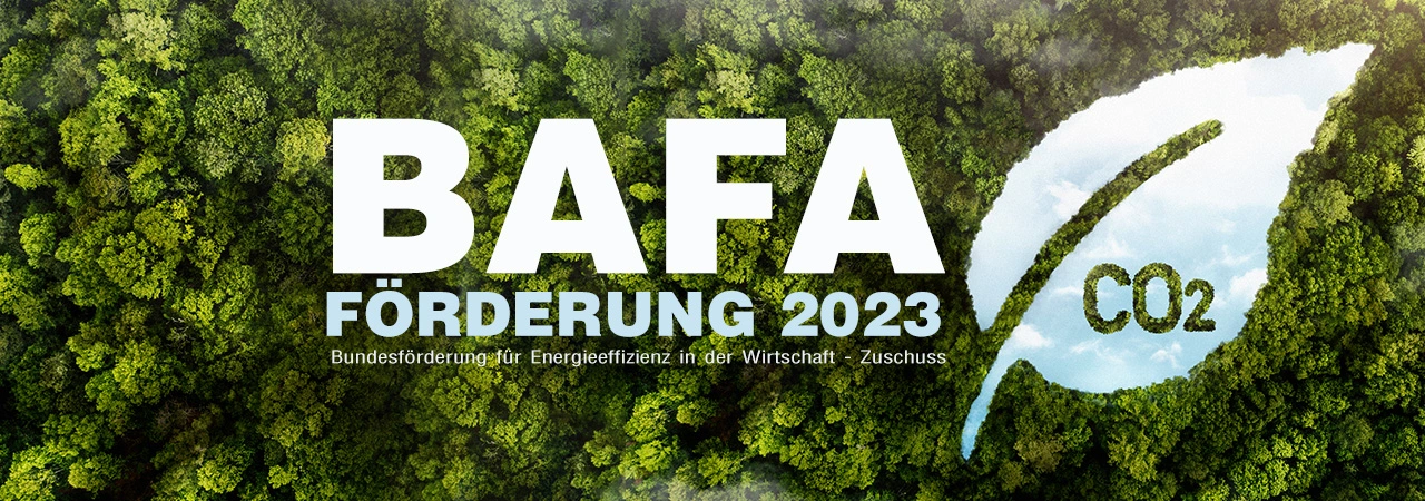 BAFA funding 2022