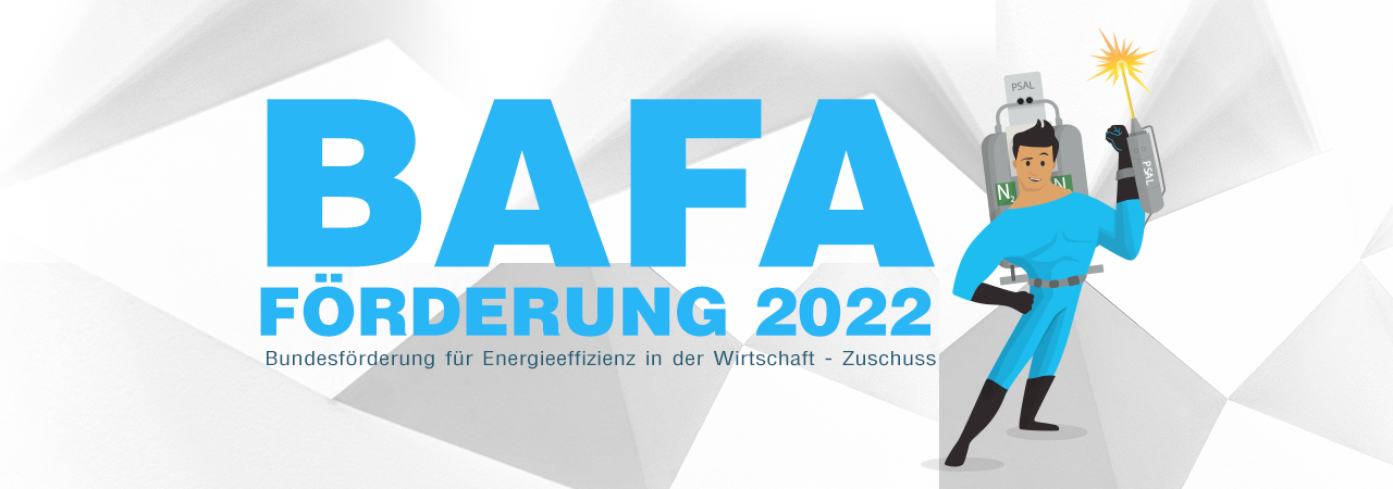 BAFA funding 2022